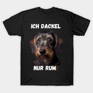 Sweet Wire-haired Dachshund - I Dachshund Just Around! 1 T-Shirt